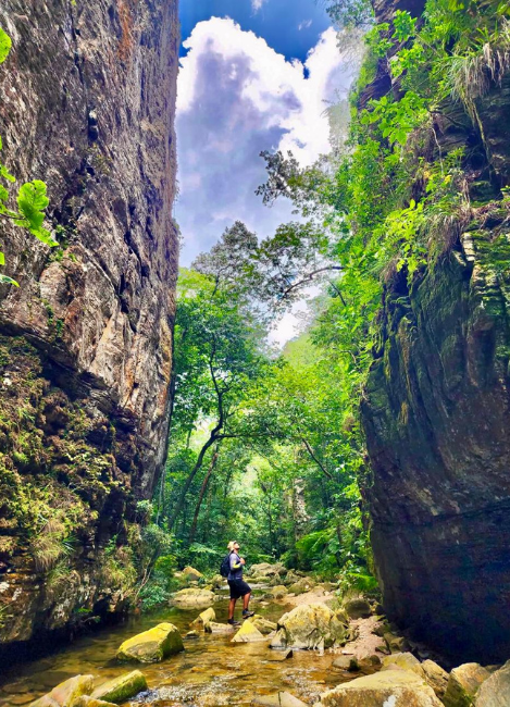 Paraíso Selvagem
